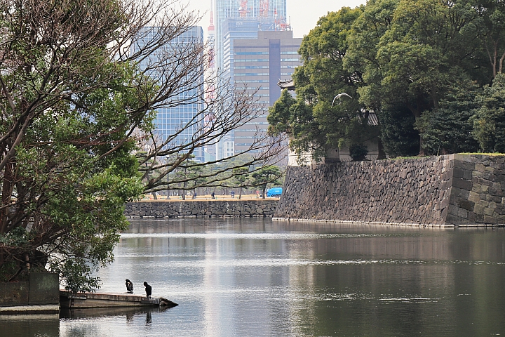 (映像旅行) 東京未來昔日 feat. Canon EOS M50 & PowerShot SX70 HS