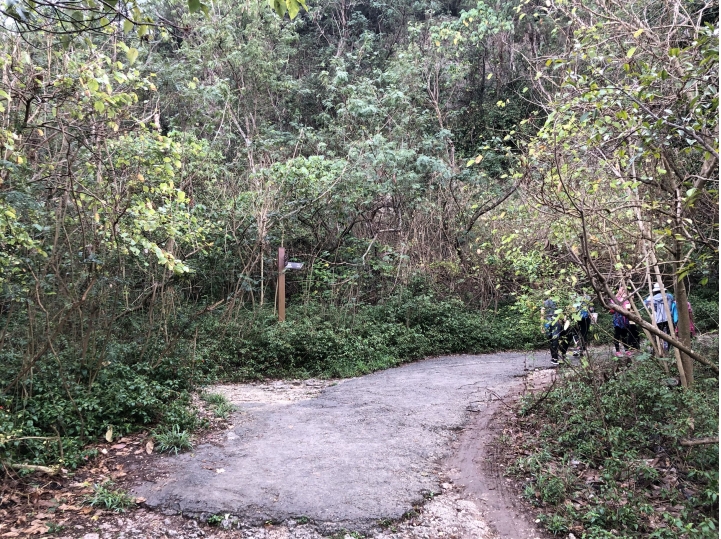 親近高雄大自然,北壽山(北柴山)散步行,路線分享!