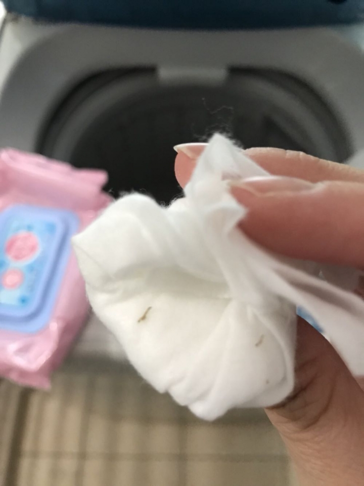 洗衣機有蟲？