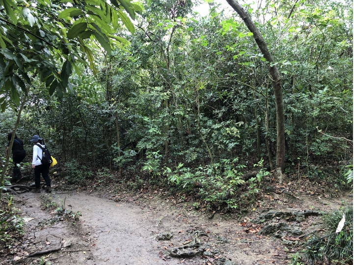 親近高雄大自然,北壽山(北柴山)散步行,路線分享!