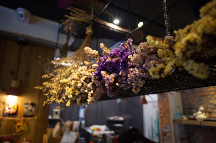 [宜蘭散步] 莎菈菈 CANON 5D2 + 24/2.8