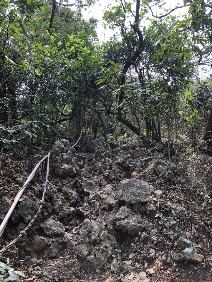 親近高雄大自然，南壽山（南柴山）散步行，路線分享！