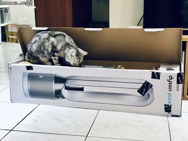 【適用】過敏季走開, 守護居家空氣, 打擊過敏原還你乾淨好氣場！《Dyson Pure Cool™智慧空氣清淨機》心得！