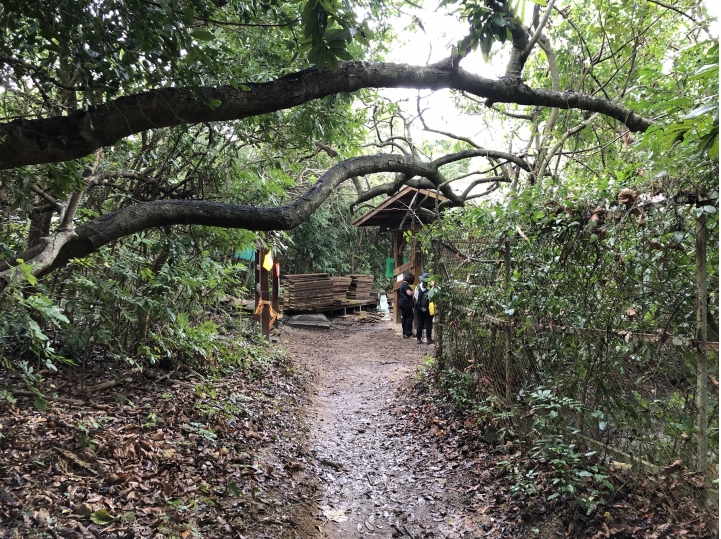 親近高雄大自然,北壽山(北柴山)散步行,路線分享!