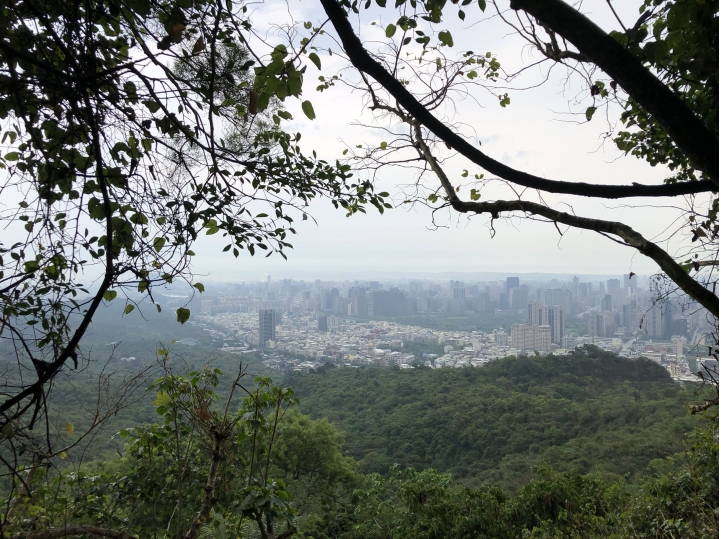 親近高雄大自然,北壽山(北柴山)散步行,路線分享!