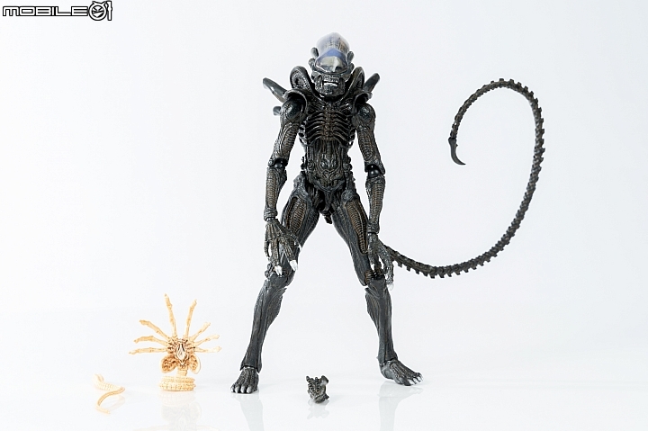 死敵注入新風格！figma《異形》、《終極戰士》竹谷隆之Ver.開箱報告