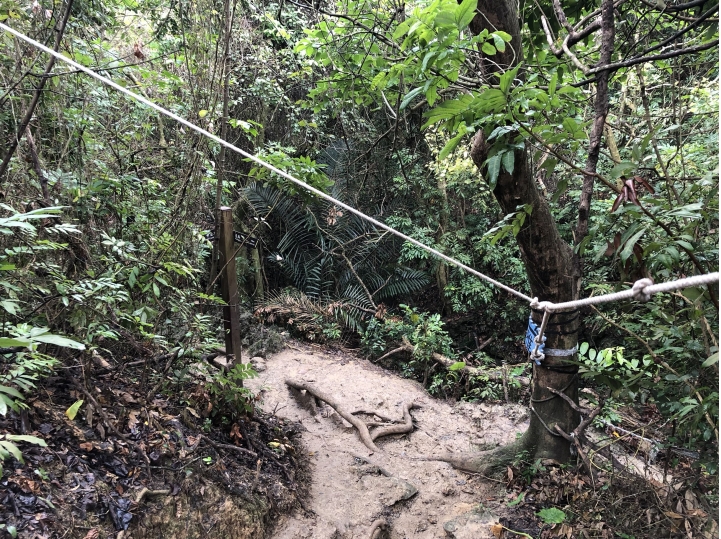 親近高雄大自然,北壽山(北柴山)散步行,路線分享!