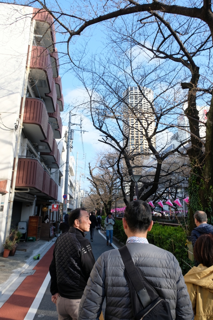睽違已久的東京之旅 [圖多!]