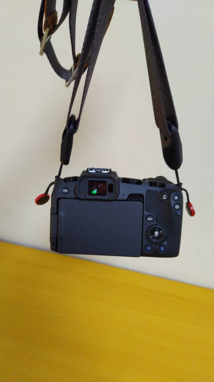 (開箱)PEAK DESIGN LEASH-象牙灰-[窄版]