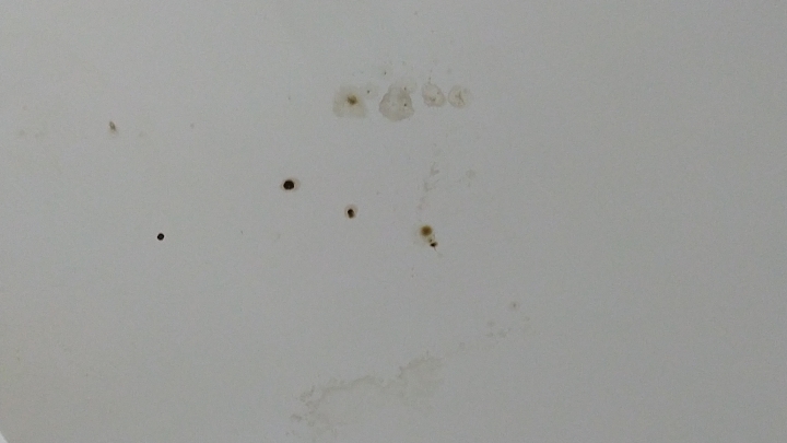 請問這個是壁癌還是漏水，看得出來嗎？