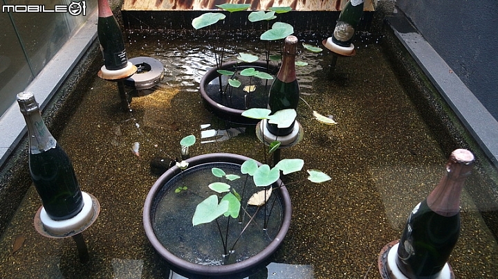 如沐法式春風，Timber Bistro & Wine - 藏薪法餐酒館