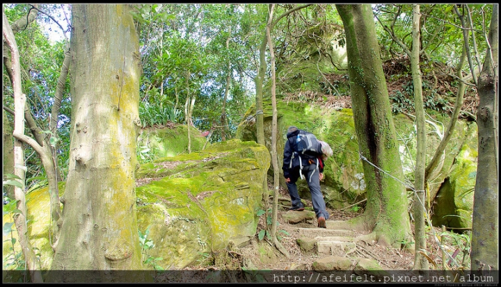 圓通寺-烘爐地福德宮：〖圓通寺步道〗【南勢角山】