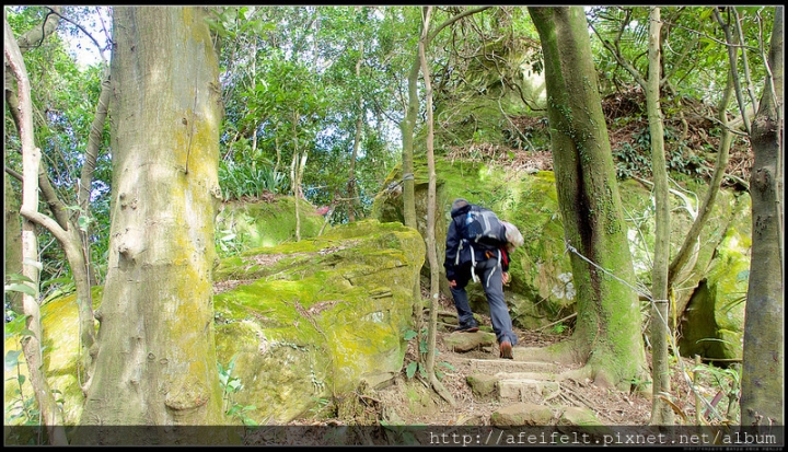 【南勢角山】O型：〖圓通寺步道〗〖烘爐地山步道〗【南勢角山】