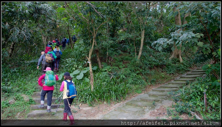 【南勢角山】O型：〖圓通寺步道〗〖烘爐地山步道〗【南勢角山】