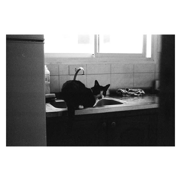 [分享]Nikon F3/ Polaroid SX70