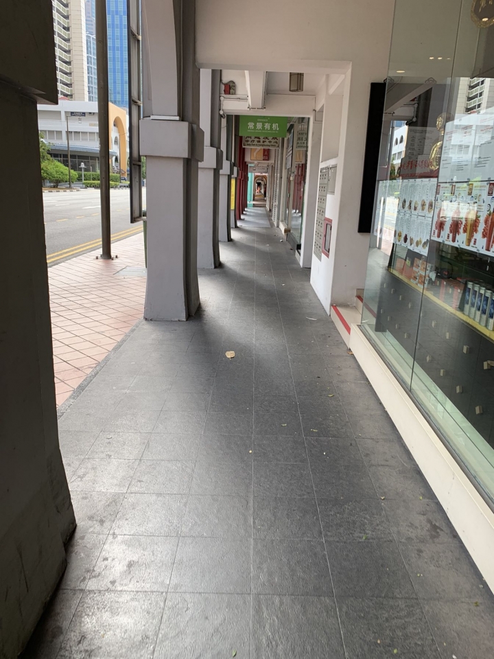 新加坡-牛車水-一個交通方便概念的城市