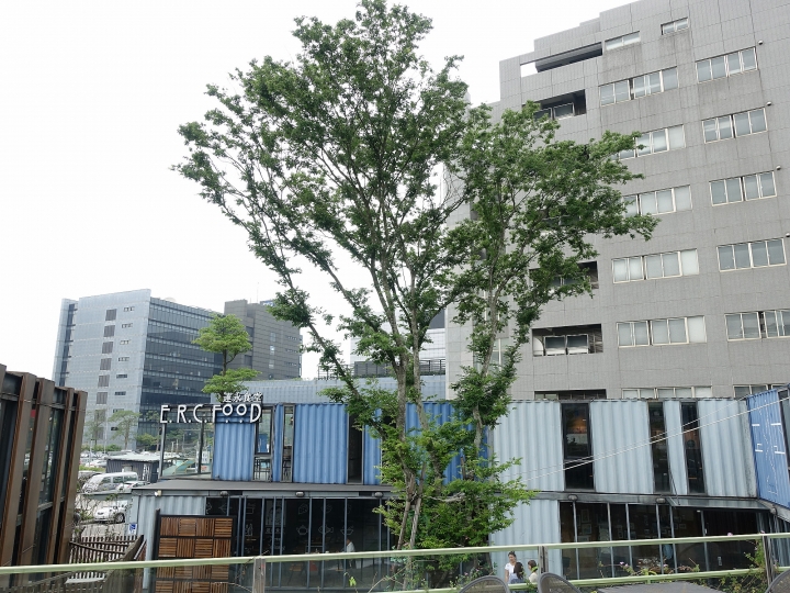 臺北市 內湖區 達永食堂 E.R.C. Food － 貨櫃玻璃屋之IG打卡名店