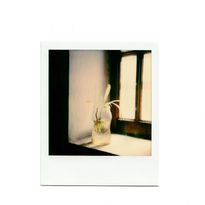 [分享]Nikon F3/ Polaroid SX70