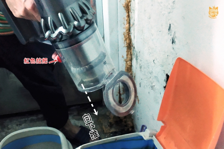 《Dyson V11™無線吸塵器》柚子多樂貓爺堂試用報告：看貓奴宅夫妻如何將貓毛、灰塵肆虐的老房子打掃乾淨