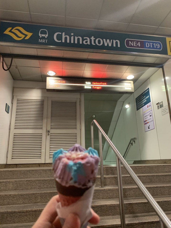 新加坡-牛車水-一個交通方便概念的城市
