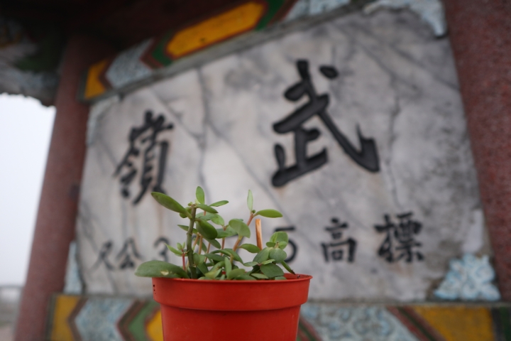迷惘的時候，出遊尋找答案–1
