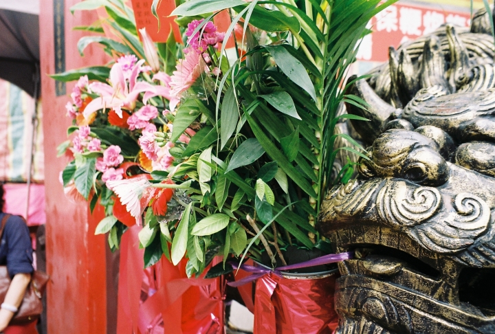 [Olympus Stylus ZOOM 140]北海岸祈安大遶境[Kodak 200]