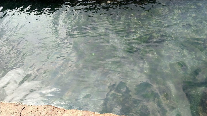 馬岡漁港浮潛秘境