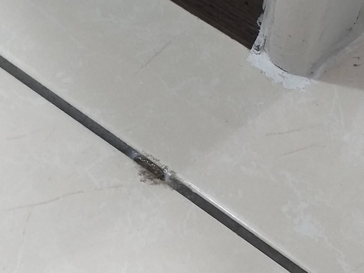 地板發霉出水