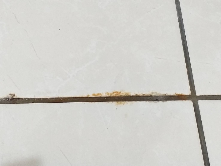 地板發霉出水