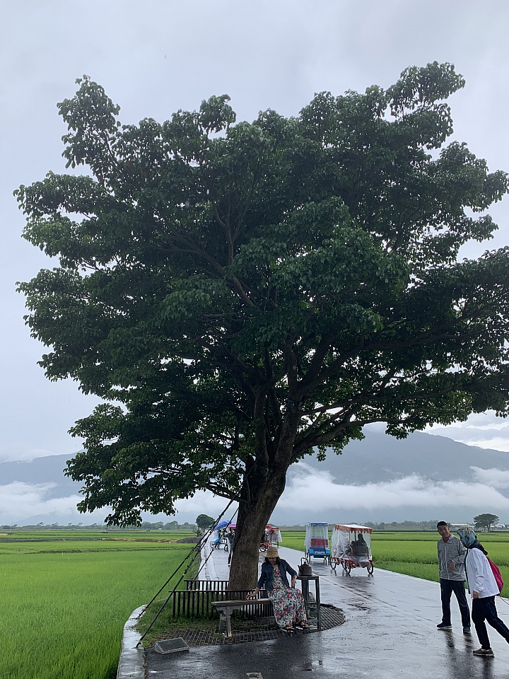 6天5夜 單人四極點機車環島行