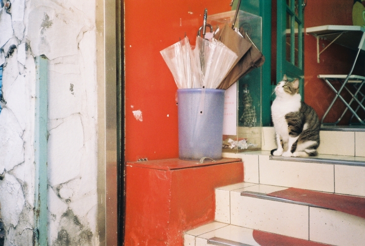 [Konica C35 EF]在爵士廣場聽了鹿港小鎮[Kodak 200]
