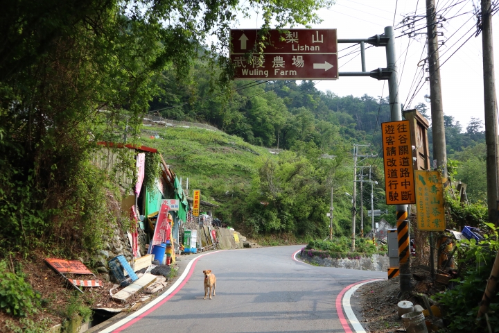迷惘的時候，出遊尋找答案–1