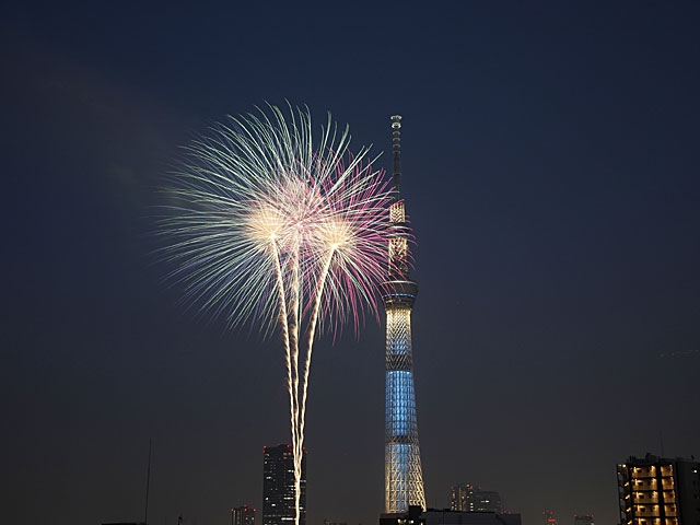 日本的煙火②「關東人氣煙火大會7選！您最想參加哪一場呢？」