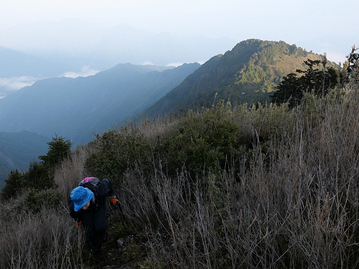 二日武界上卓社大山(全程走稜線不經V斷跟紅磚屋)