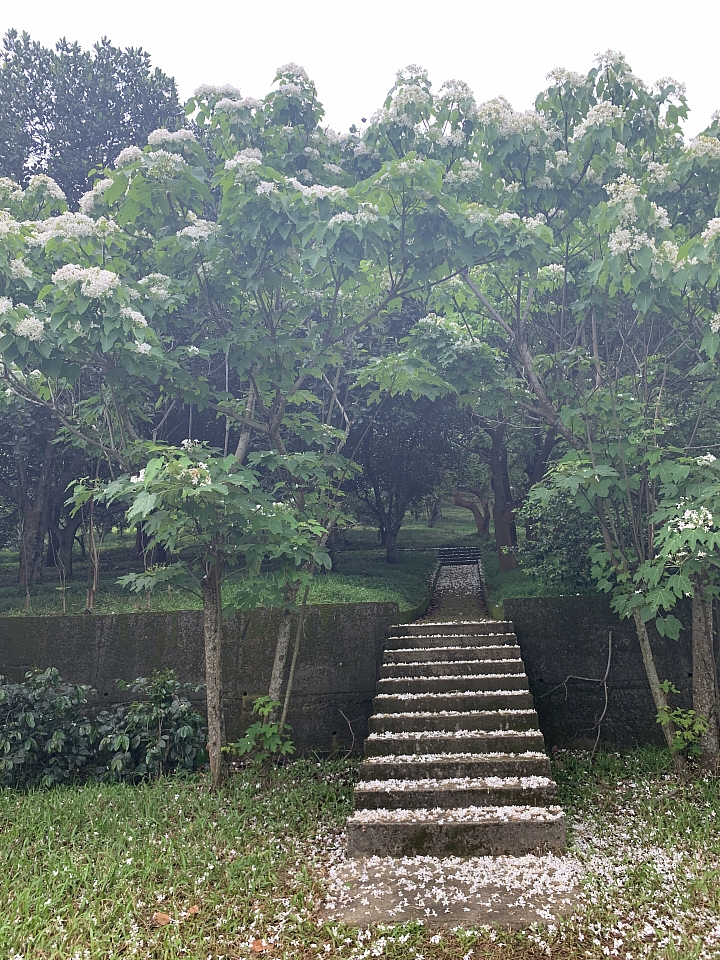 6天5夜 單人四極點機車環島行