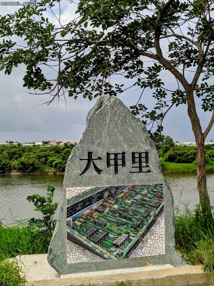 潺槁樹 台南市安平區湖濱水鳥公園 05/19