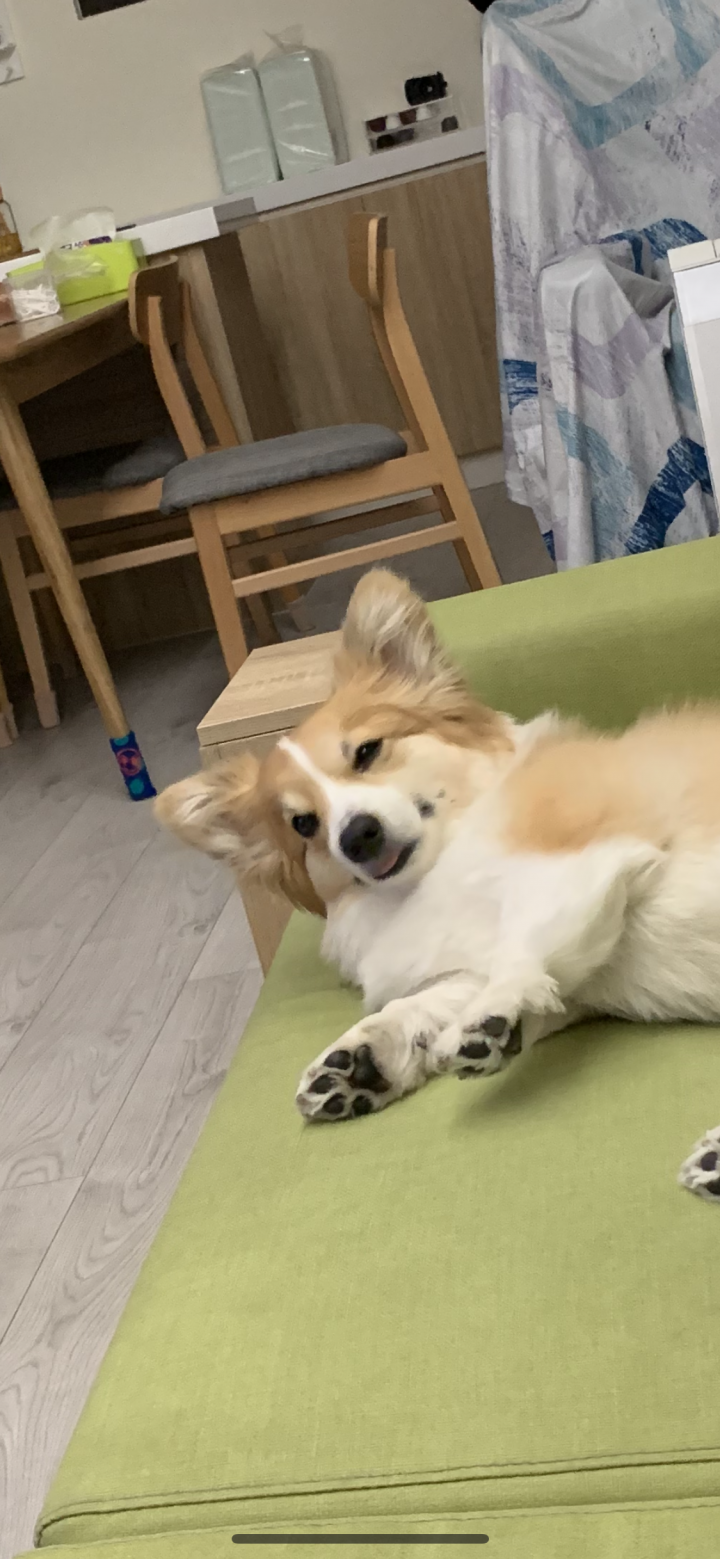 【開箱】私心改造二度開箱~我的清水模狂熱宅...狂不起來了...變身溫馨穩重宅?