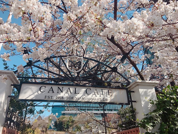 【東京都】難道我在歐洲嗎?河堤邊的人氣賞櫻咖啡廳「CANAL CAFE」