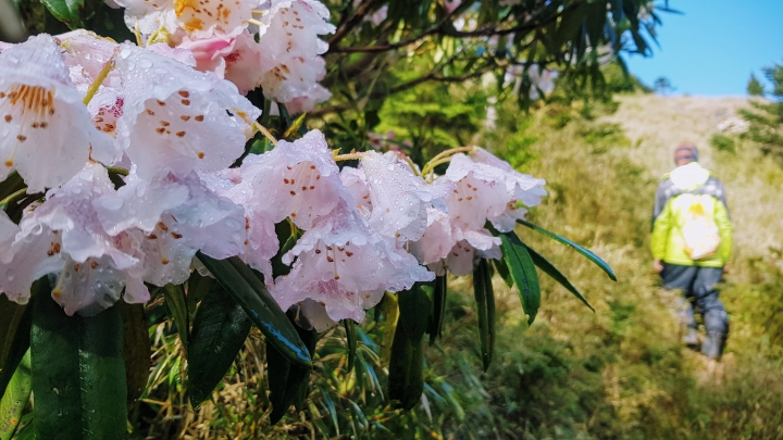 2019.04.27-30 值得再訪的雪山西稜