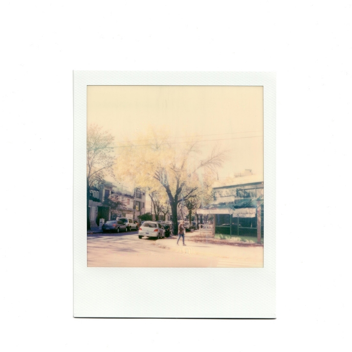 [分享]Nikon F3/ Polaroid SX70
