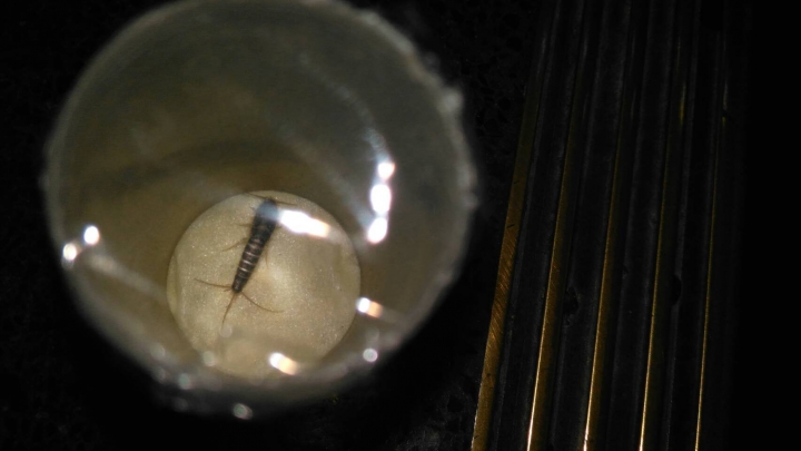 請問這是什麼？??