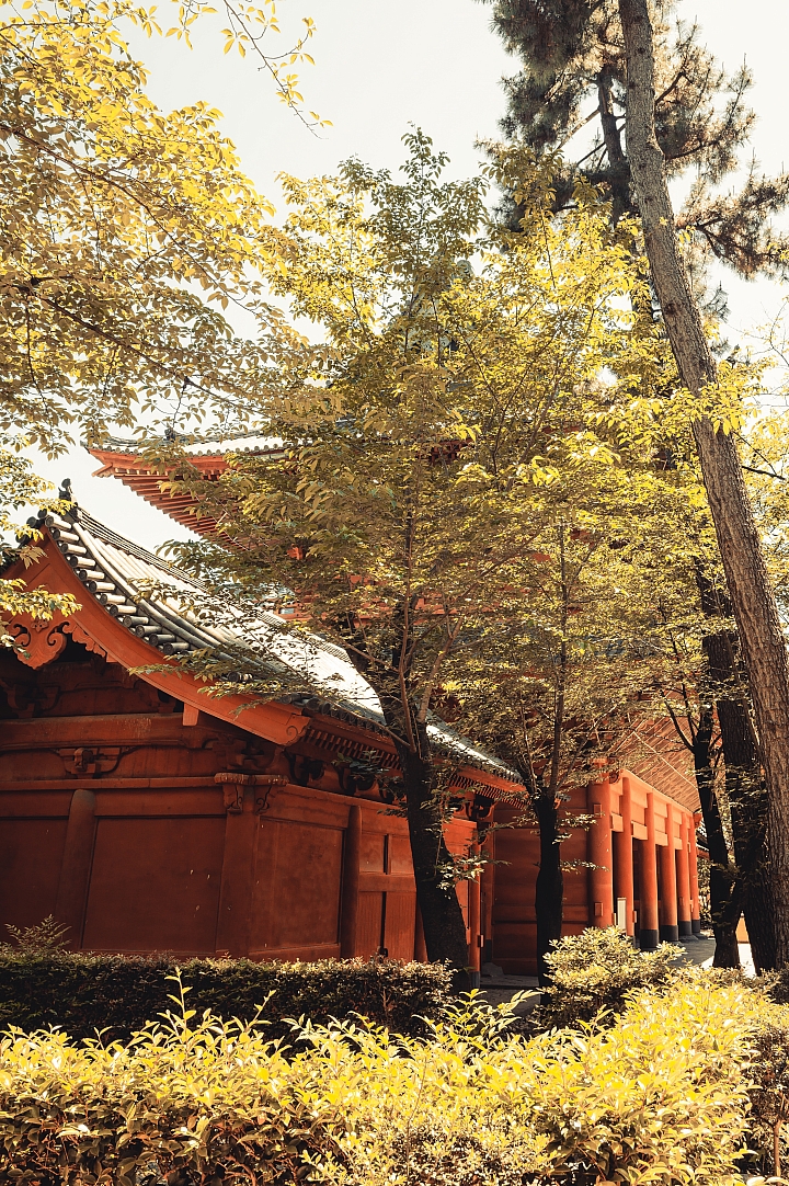 東京增上寺
