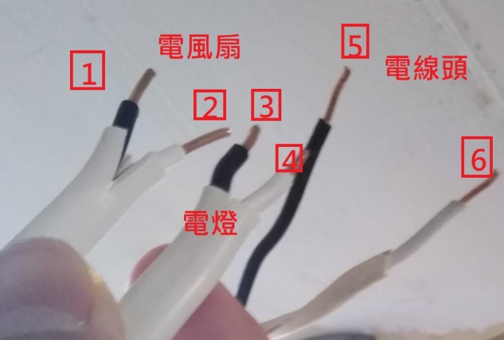 請問 專業 這插頭 火線 零線 接的方向對嗎