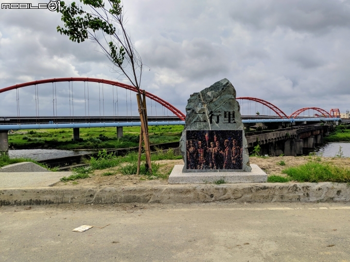 潺槁樹 台南市安平區湖濱水鳥公園 05/19