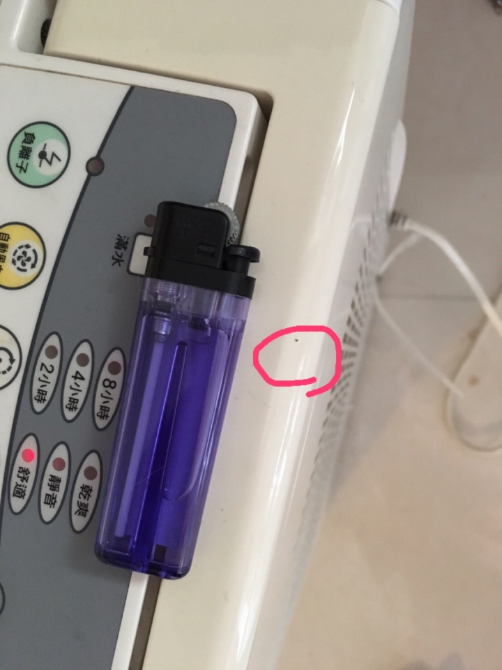 請問這是什麼蟲 (更新 有更清楚的照片