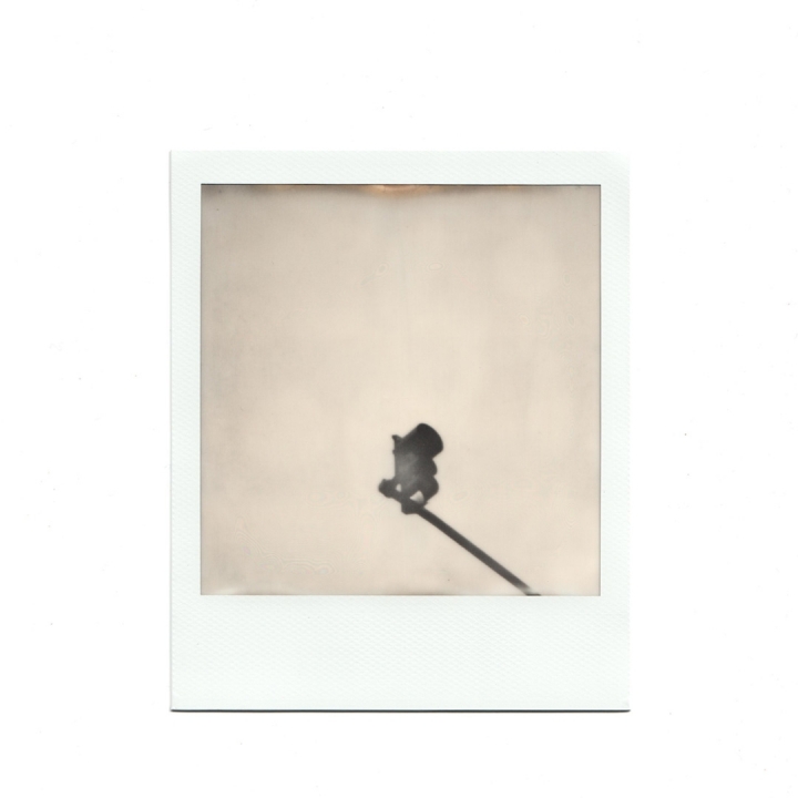 [分享]Nikon F3/ Polaroid SX70