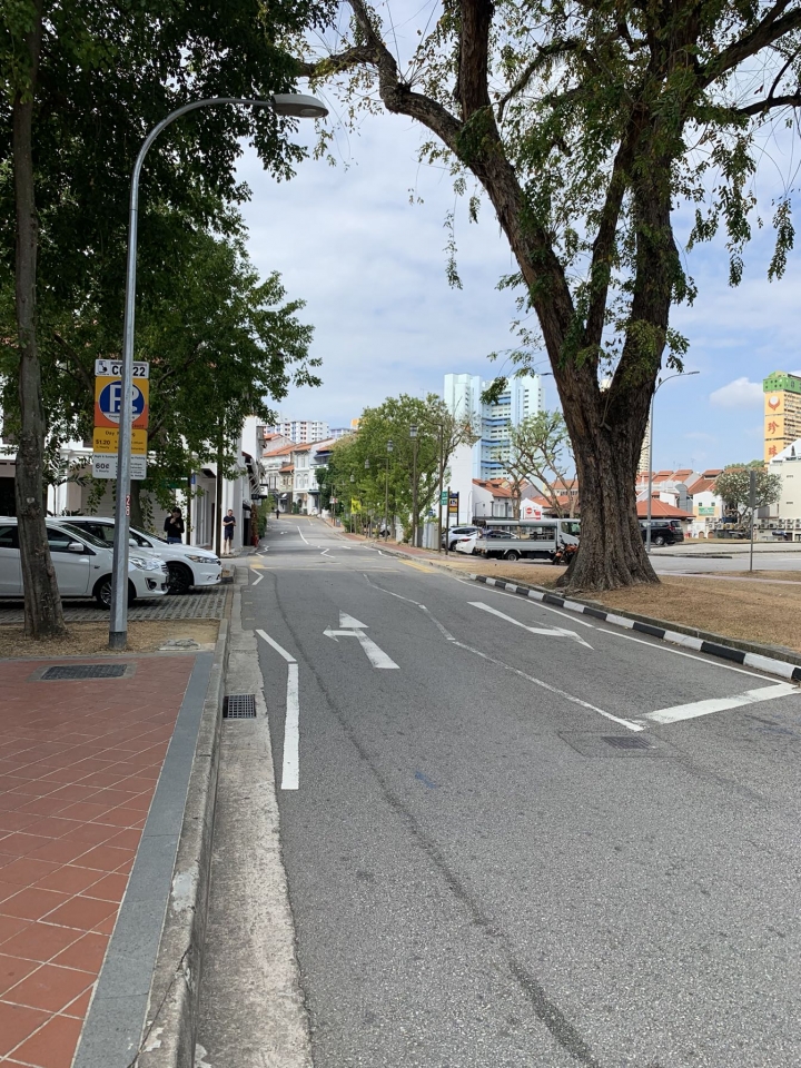 新加坡-牛車水-一個交通方便概念的城市