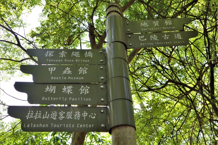 迷惘的時候，出遊尋找答案–1