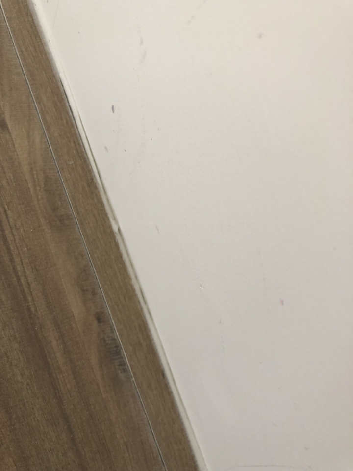 這就是所謂的專業木地板？