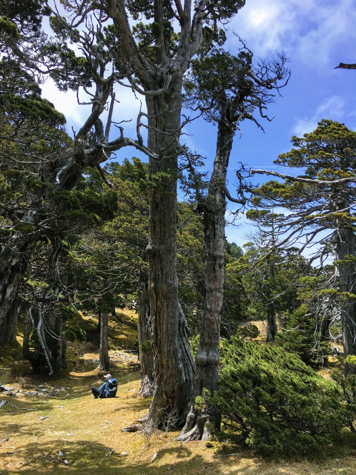 2019.04.27-30 值得再訪的雪山西稜